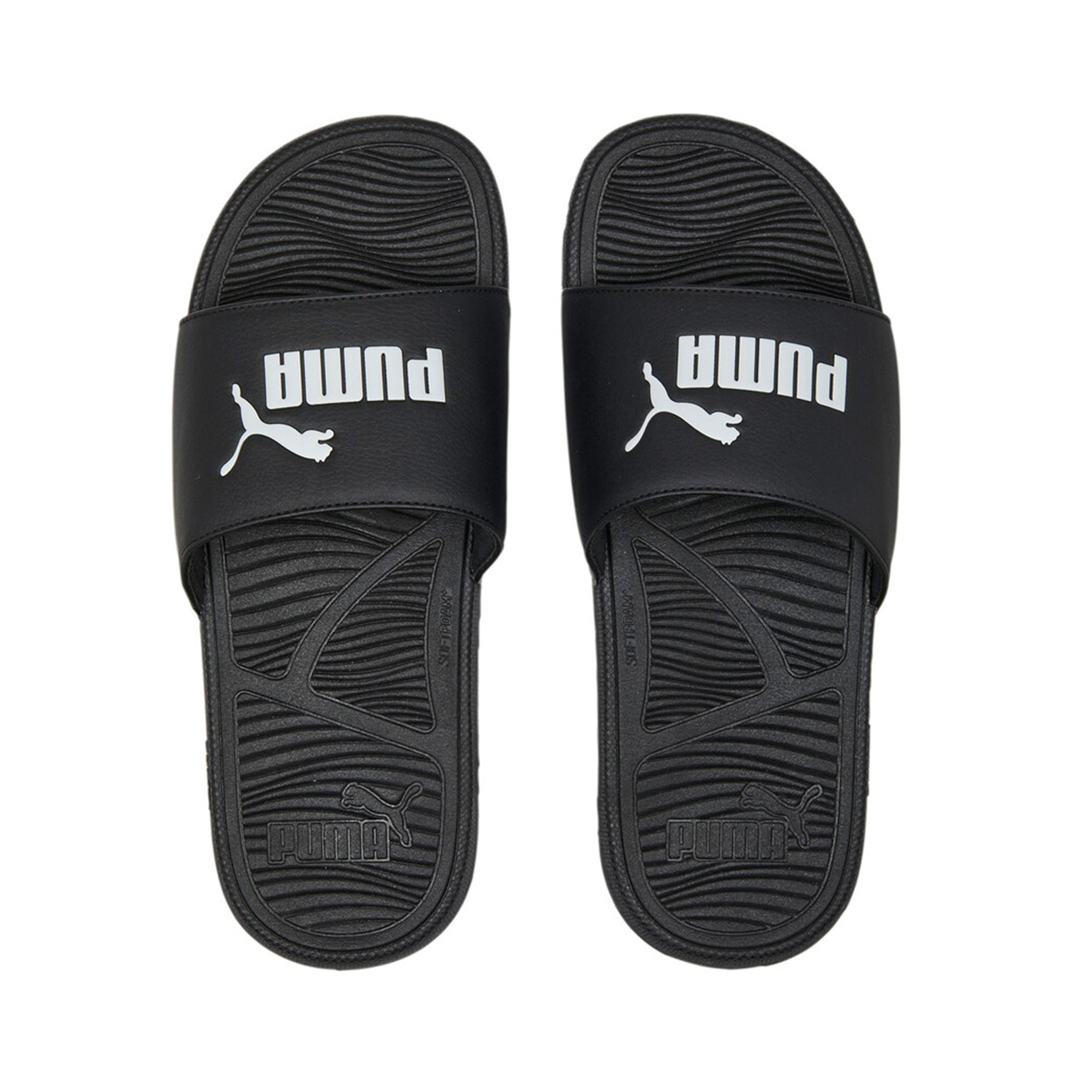 Puma M Coot Cat 2.0 Slides (389113-01) φωτογραφία